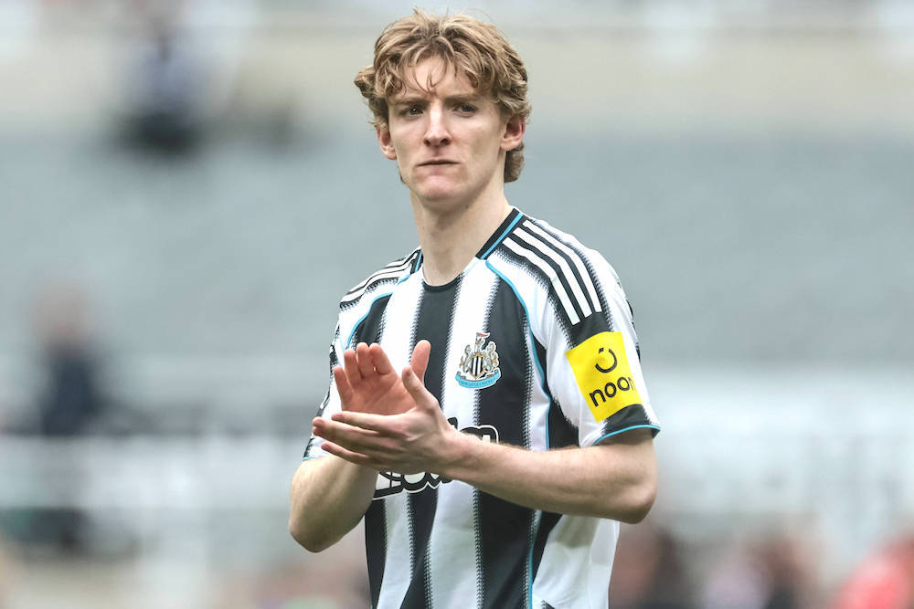 Inga planer på att väcka Gordon-intresset till liv